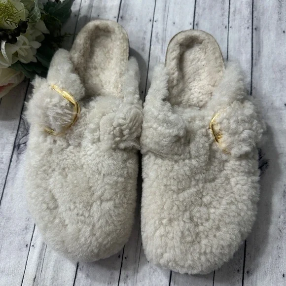 New Birkenstock Boston Big Buckle Teddy Shearling Clogs - Picture 2 of 14